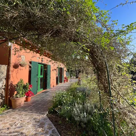 Finca El Lance Zumacal Firgas Exterior foto
