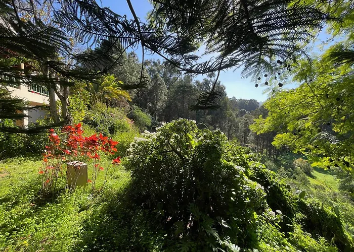 Finca El Lance Zumacal